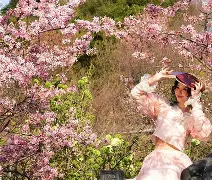 开元体育-风云突变！那不勒斯今晚状态回暖，CBA季后赛版图或变，球迷炸锅，医务组通报恢复(cba季后赛直播在线观看)